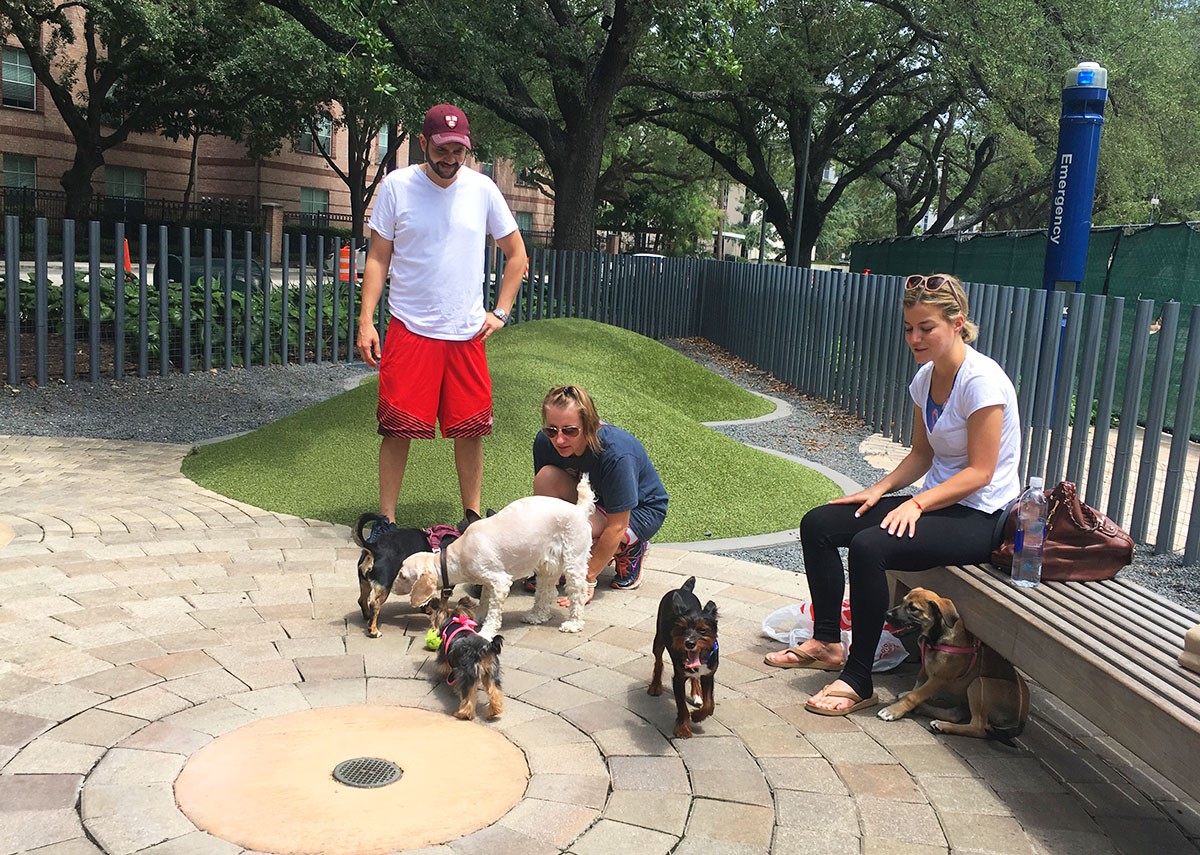 Best Houston Dog Parks The Buzz Magazines